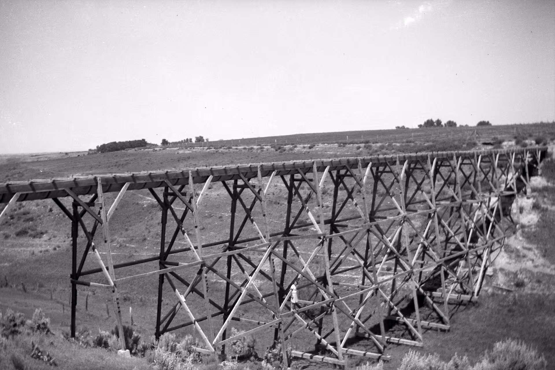 The old flume on the vineyard property