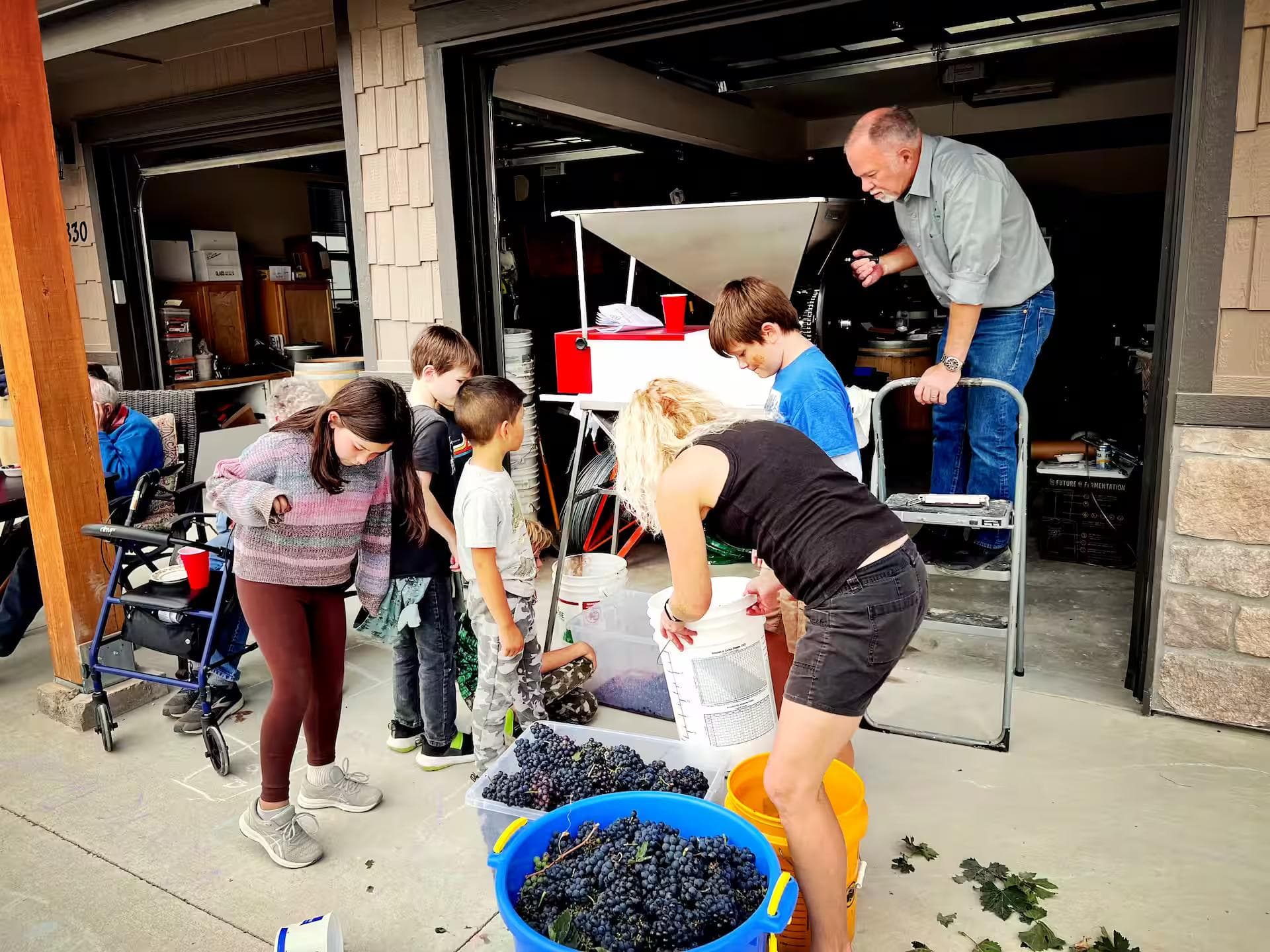 Grape stomp