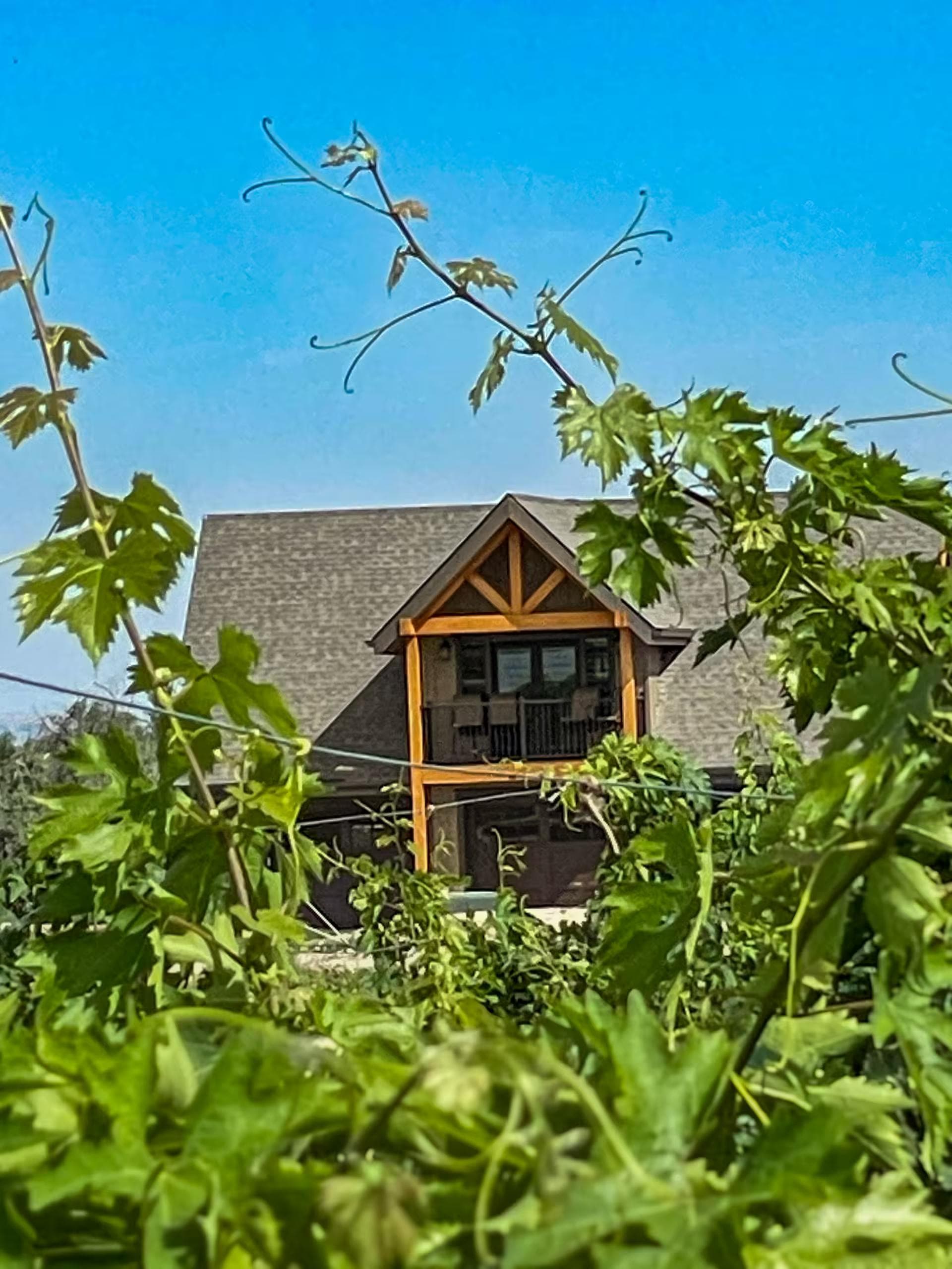 View of The Carriage House at Legacy Vineyards through grape vines.